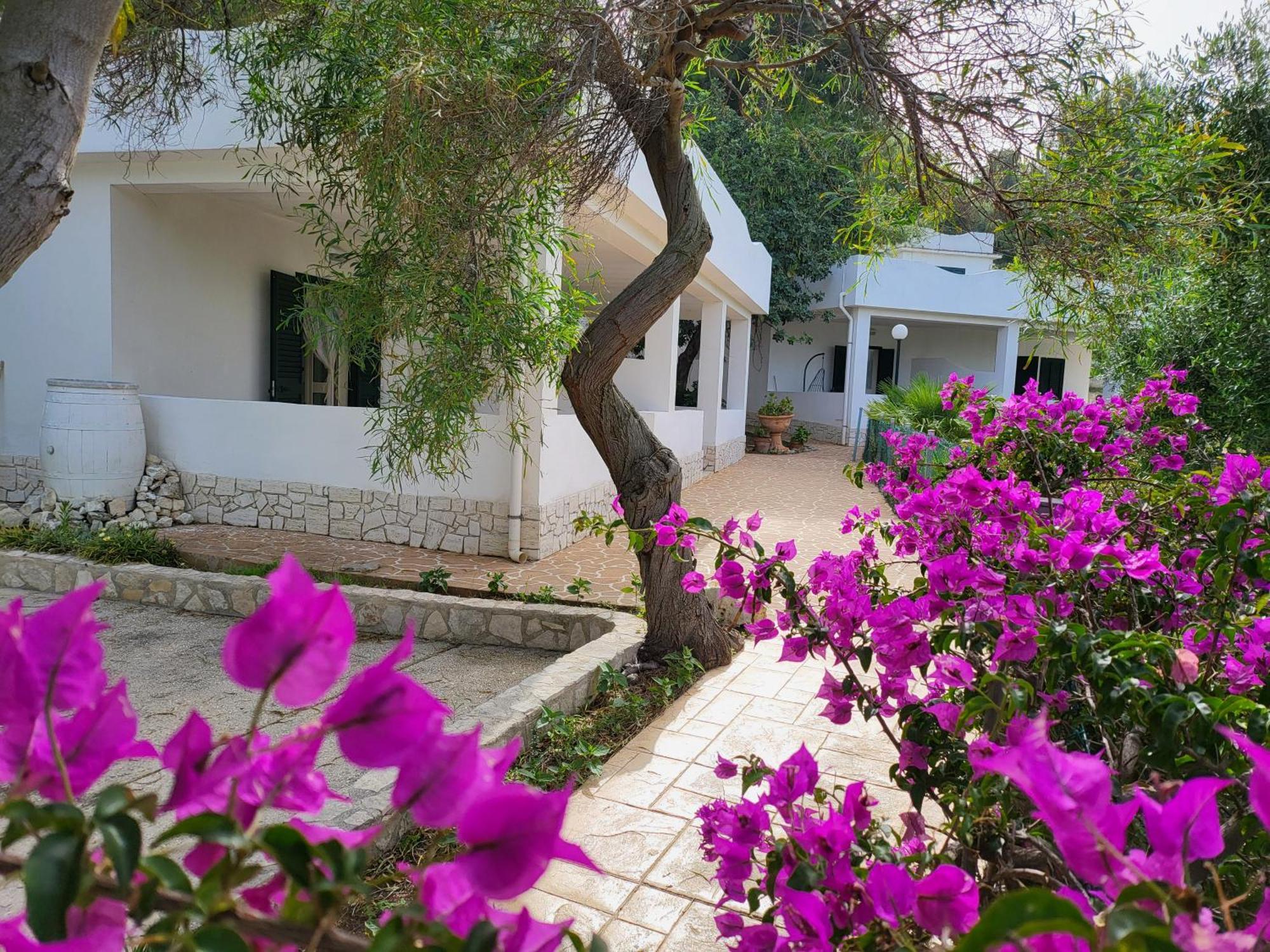 Residence Dolce Far Niente Vieste Kültér fotó